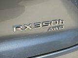 Used 2025 Lexus RX SUV