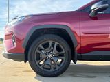 Used 2025 Toyota RAV4 SUV