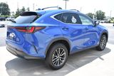Used 2026 Lexus NX SUV