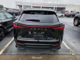 Used 2024 Lexus NX SUV