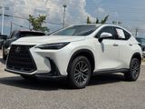Used 2024 Lexus NX SUV