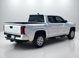 Used 2026 Toyota Tacoma Truck