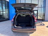 New 2026 Honda CR-V SUV