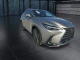 Used 2025 Lexus NX SUV
