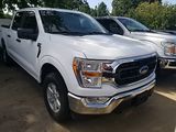 Used 2021 Ford F-150 Truck