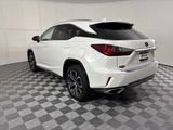 Used 2019 Lexus RX SUV