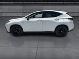Used 2024 Lexus NX SUV