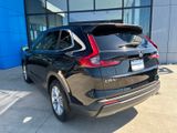 Used 2025 Honda CR-V SUV