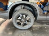 New 2026 Honda Ridgeline Truck