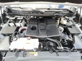 Used 2025 Toyota Tundra Truck
