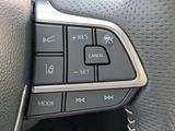 New 2026 Toyota Sienna Van