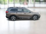 Ascent Limited 8 Passenger