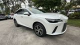 Used 2024 Lexus RX SUV