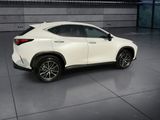 Used 2025 Lexus NX SUV