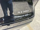 Used 2024 Lexus RX SUV