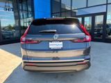New 2026 Honda CR-V SUV