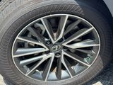 Used 2024 Lexus NX SUV