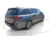 New 2026 Honda Odyssey Van
