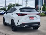 Used 2026 Lexus NX SUV