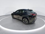 Used 2025 Lexus UX SUV
