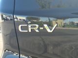 Used 2026 Honda CR-V SUV