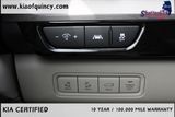 Used 2024 Kia Carnival Van