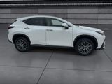 Used 2025 Lexus NX SUV