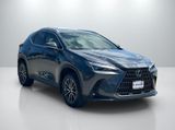 Used 2025 Lexus NX SUV