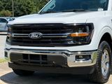 Used 2025 Ford F-150 Truck