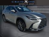 Used 2025 Lexus NX SUV