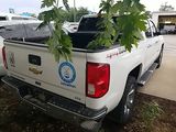 Used 2017 Chevrolet Silverado 1500 Truck