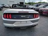 Used 2019 Ford Mustang Convertible