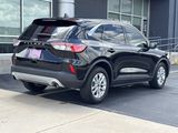 Used 2020 Ford Escape SUV
