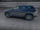 Used 2024 Lexus NX SUV