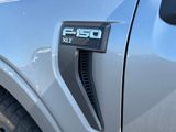 Used 2023 Ford F-150 Truck