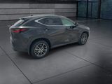 Used 2025 Lexus NX SUV
