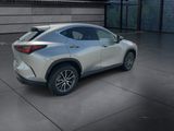 Used 2025 Lexus NX SUV