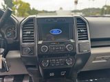 Used 2019 Ford F-150 Truck