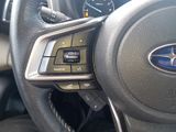 Ascent Limited 8 Passenger