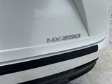 Used 2025 Lexus NX SUV