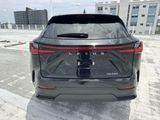 Used 2025 Lexus NX SUV