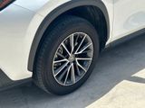 Used 2023 Lexus NX SUV