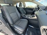 Used 2020 Lexus NX SUV