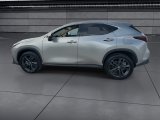 Used 2025 Lexus NX SUV
