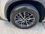 Used 2023 Lexus NX SUV