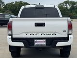 Used 2023 Toyota Tacoma Truck