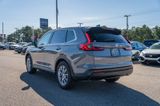 New 2026 Honda CR-V SUV