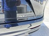 Used 2024 Lexus NX SUV