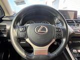 Used 2019 Lexus NX SUV