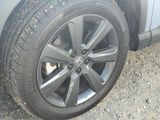 Used 2025 Honda Pilot SUV